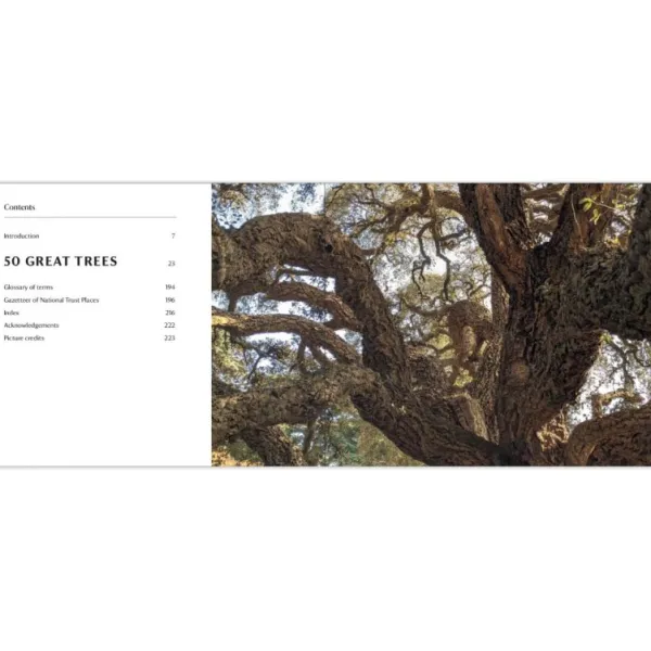 National Trust 50 Great Trees of the Hot