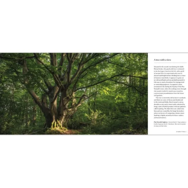 National Trust 50 Great Trees of the Hot