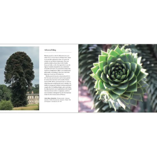 National Trust 50 Great Trees of the Hot