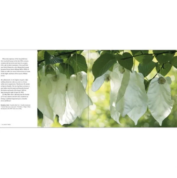 National Trust 50 Great Trees of the Hot