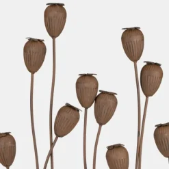 National Trust Ascalon Poppy Head Wall Art New