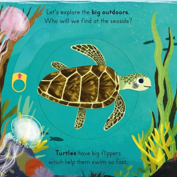 National Trust Big Outdoors for Little Explorers: Seaside Discount
