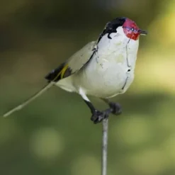 National Trust Bird on Rod, Set of 2 Best