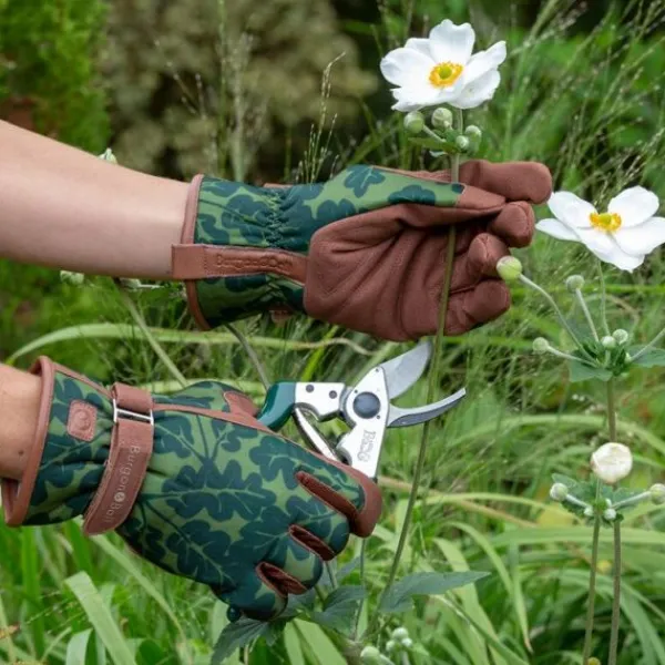 National Trust Burgon and Ball Moss Oak Leaf Garden Gloves Online