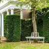 National Trust Full Tree Seat, Cream Outlet