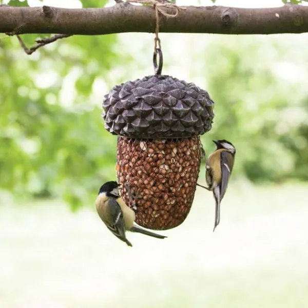 National Trust Hanging Acorn Bird Feeder Clearance