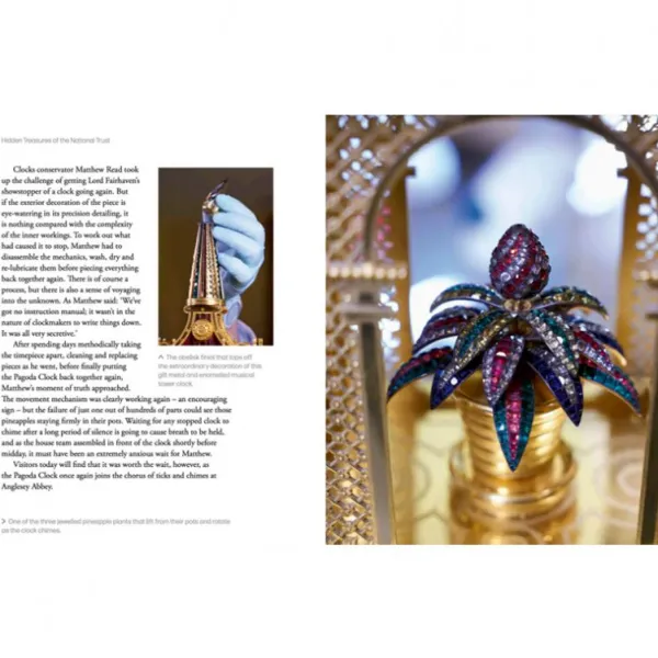 National Trust Hidden Treasures of the Sale