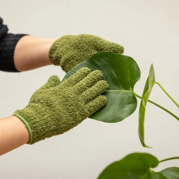 National Trust Indoor Plant Duster Gloves Online