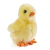 National Trust Living Nature Yellow Chick Online