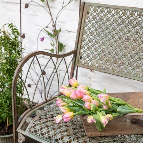 National Trust Marlborough Garden Bench Best