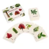 National Trust Match a Leaf, A Tree Memory Game Sale