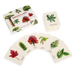 National Trust Match a Leaf, A Tree Memory Game Sale