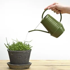 National Trust Metal Watering Can, Green Fashion