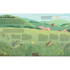 National Trust A Story of the Seasons New