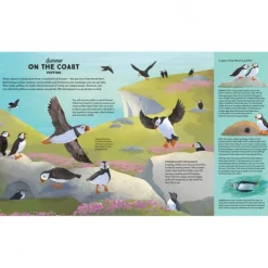 National Trust A Story of the Seasons New