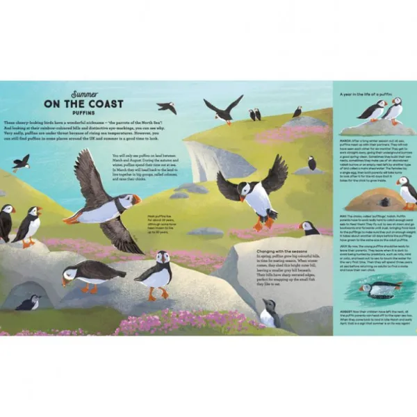 National Trust A Story of the Seasons New