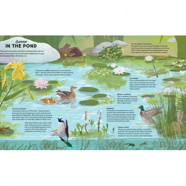 National Trust A Story of the Seasons New