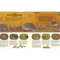 National Trust A Story of the Seasons New