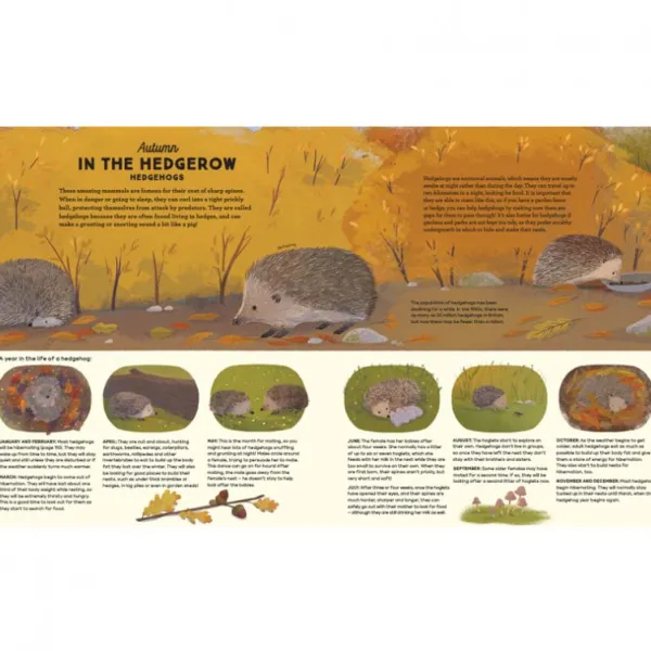 National Trust A Story of the Seasons New