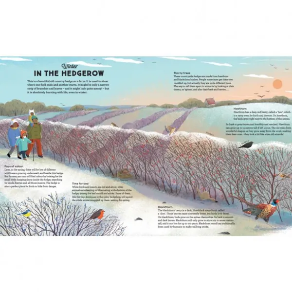 National Trust A Story of the Seasons New