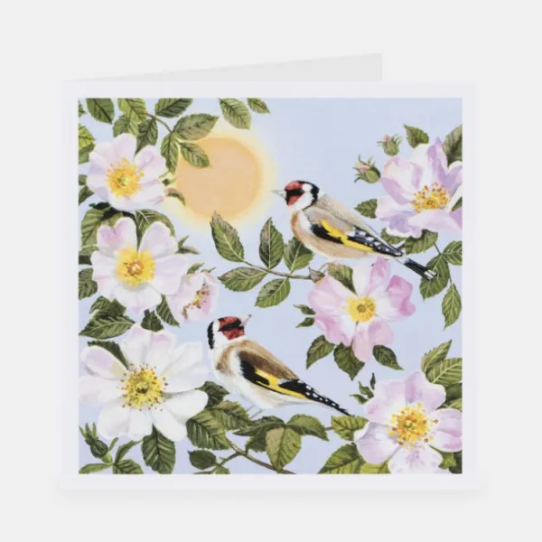 National Trust Beautiful Blossom Notecards Pack, x20 Online