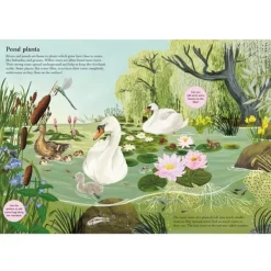 National Trust Birch Trees, Bluebells and Other British Plants Nature Sticker Book Best