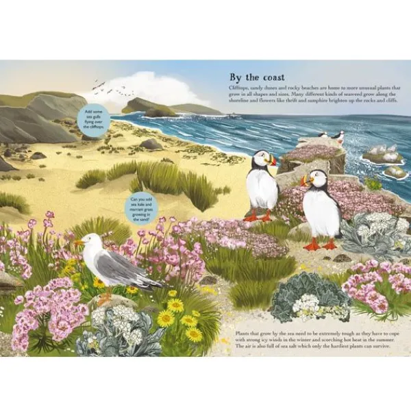 National Trust Birch Trees, Bluebells and Other British Plants Nature Sticker Book Best