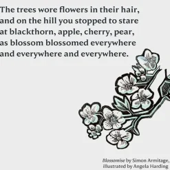 National Trust Blossomise Best