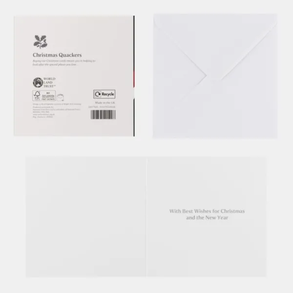 National Trust Christmas Quackers Christmas Card Box of 10 Fashion
