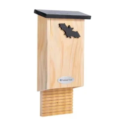 National Trust CJ Wildlife Glamis Bat Box Online