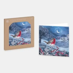 National Trust Countryside Robin Christmas Card Box of 10 Best