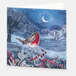 National Trust Countryside Robin Christmas Card Box of 10 Best
