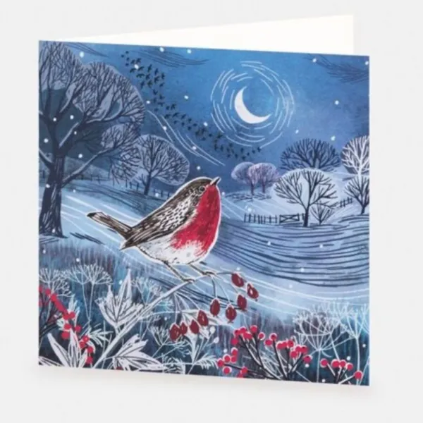 National Trust Countryside Robin Christmas Card Box of 10 Best