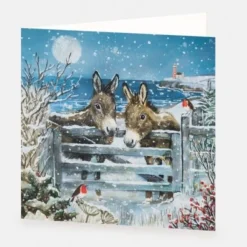 National Trust Donkeys Christmas Cards Box of 10 Discount