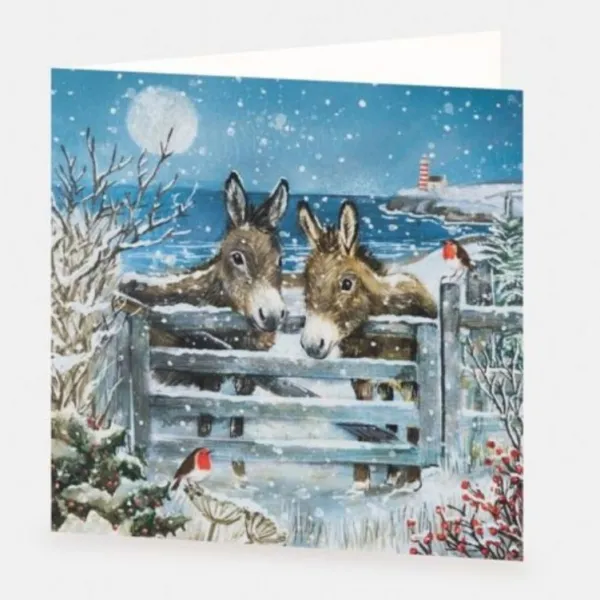 National Trust Donkeys Christmas Cards Box of 10 Discount
