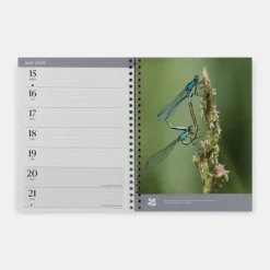 National Trust Engagement Diary 2026 Clearance