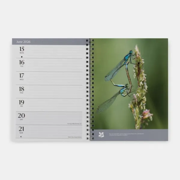 National Trust Engagement Diary 2026 Clearance