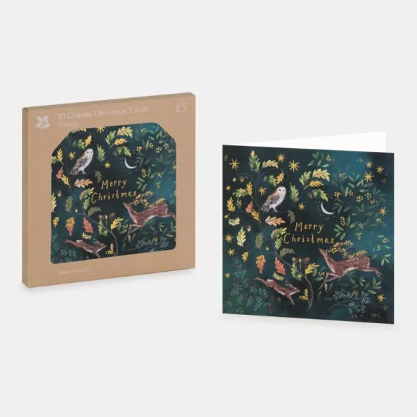National Trust Forest Friends Christmas Card Box of 10 Best