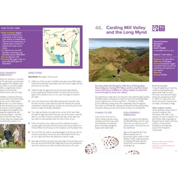 National Trust Great British Walkies Outlet