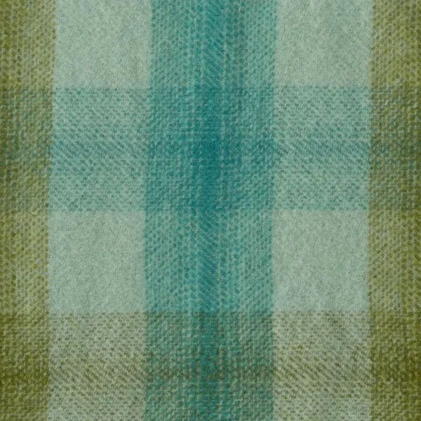 National Trust Green Meadow Check Waterproof Backed Picnic Rug Hot
