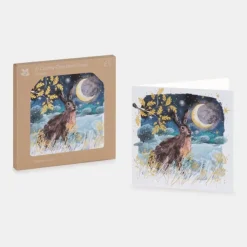 National Trust Hare by Moonlight Christmas Cards Box of 10 Online