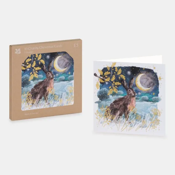 National Trust Hare by Moonlight Christmas Cards Box of 10 Online