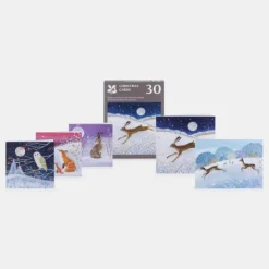 National Trust Illustrated 30 Christmas Cards Value Pack Outlet