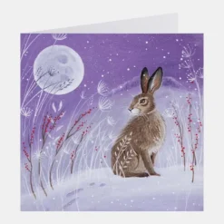 National Trust Illustrated 30 Christmas Cards Value Pack Outlet