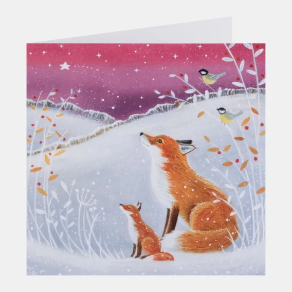 National Trust Illustrated 30 Christmas Cards Value Pack Outlet
