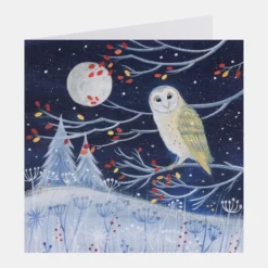 National Trust Illustrated 30 Christmas Cards Value Pack Outlet