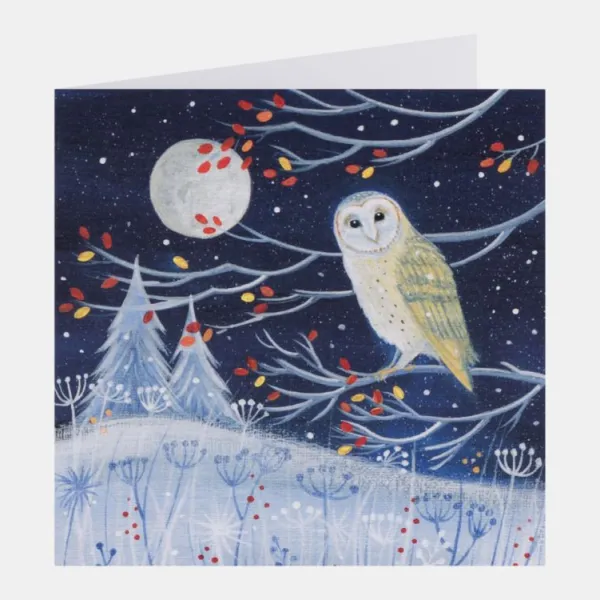 National Trust Illustrated 30 Christmas Cards Value Pack Outlet