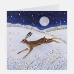 National Trust Illustrated 30 Christmas Cards Value Pack Outlet