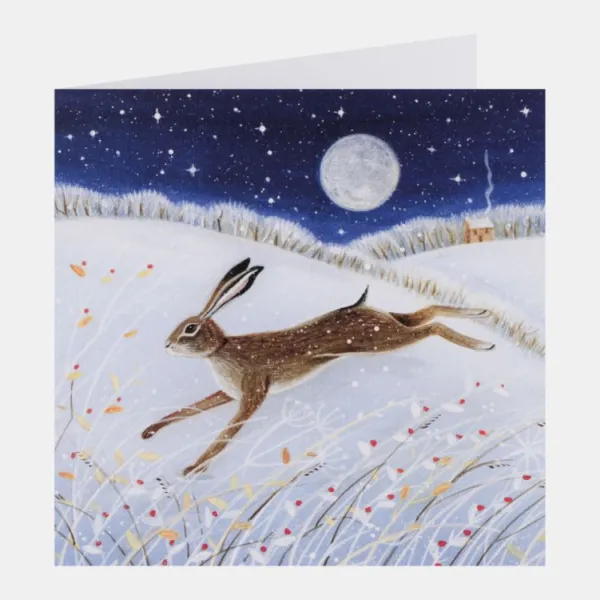 National Trust Illustrated 30 Christmas Cards Value Pack Outlet