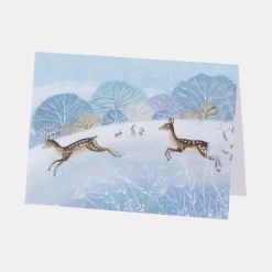 National Trust Illustrated 30 Christmas Cards Value Pack Outlet